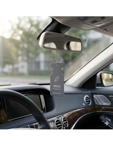 Car air freshener type tree, Soul, DeoMaxx,...