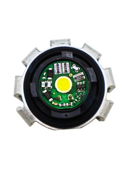 LED Module Toyota, Lexus, Suzuki