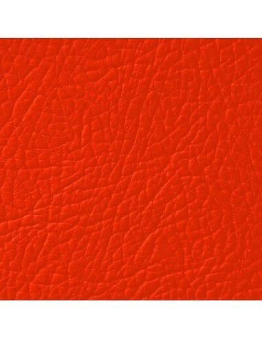 Leather Paint Orange Red LEATHER EXPERT Leather...