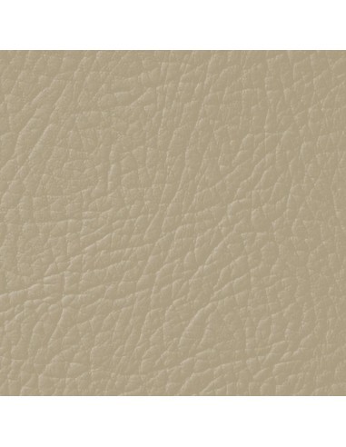 Desert Beige Leather Paint LEATHER EXPERT...