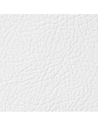 White Leather Paint LEATHER EXPERT Leather...