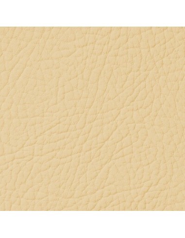 Βαφή δέρματος Κρέμα Χρυσό LEATHER EXPERT...
