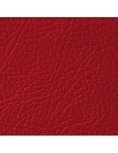 Flamenco Red Leather Paint LEATHER EXPERT...