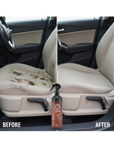 Textile Cleaning Solution, SWAG Basic Textile...
