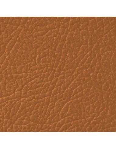 Βαφή δέρματος Καραμέλα LEATHER EXPERT Leather...