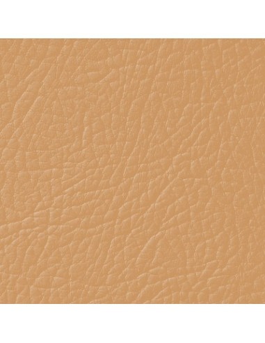 Χρώμα δέρματος Καφέ Ανοιχτό LEATHER EXPERT...