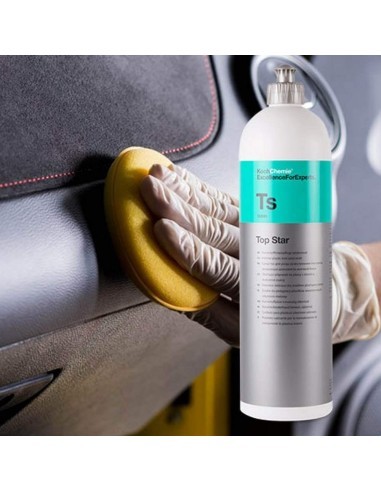 Dressing Interior Plastic and Seals Koch Chemie...