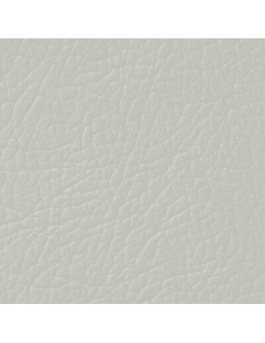 Light Grey Leather Paint LEATHER EXPERT Leather...