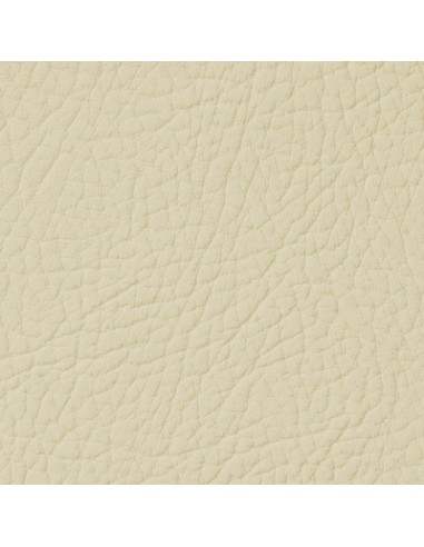 Light Cream Leather Paint LEATHER EXPERT...