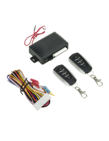 PNI 288 Central Locking Module with Remote Control
