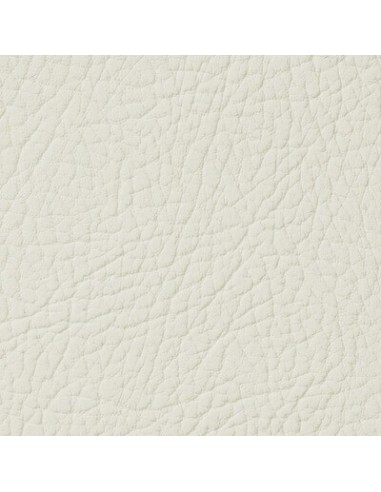Ivory LEATHER EXPERT Leather Colourant 250ml
