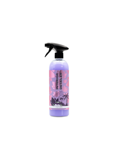 Nanolex WCWC Interior Detailer Cleaning and Protection...