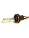 XENON BULBS