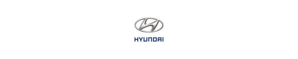 Dedicated Carpet Car Mats for Hyundai - Trunk Mat and Car Mats