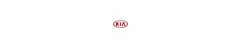 Dedicated Carpet Car Mats for Kia - Trunk Mat and Car Mats