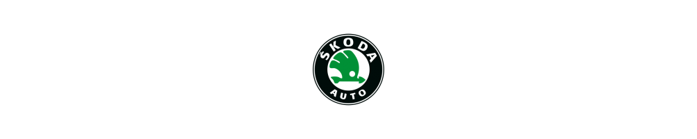Dedicated Carpet Car Mats for Skoda - Trunk Mat and Car Mats