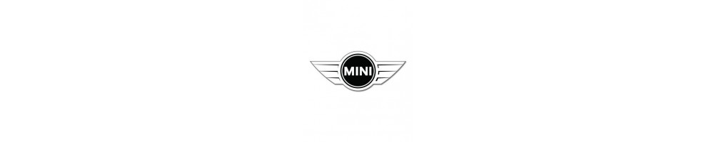Mini Key Case | Xenon Bright
