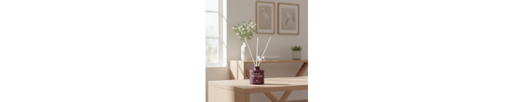 Room Air Freshener – Ambient Fragrances for Home | Xenon Bright