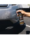 Insect Removal Solutions for Cars